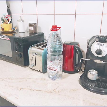 Smart Apartament Piatra Neamţ 外观 照片